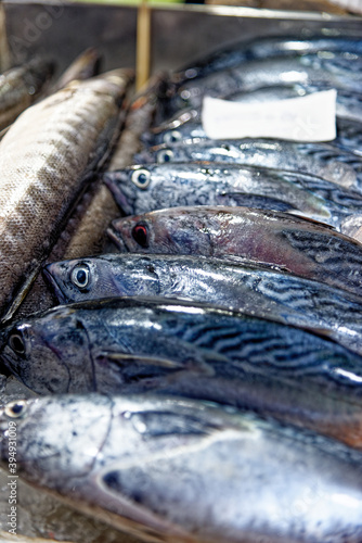 Close up of tuna on the thai street market in Thailand