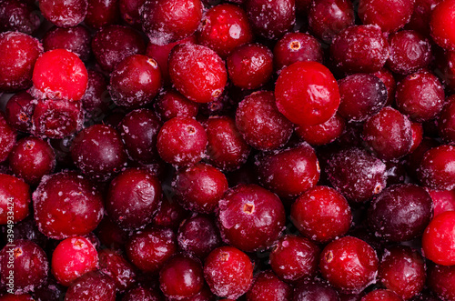 Frozen cranberry background.
