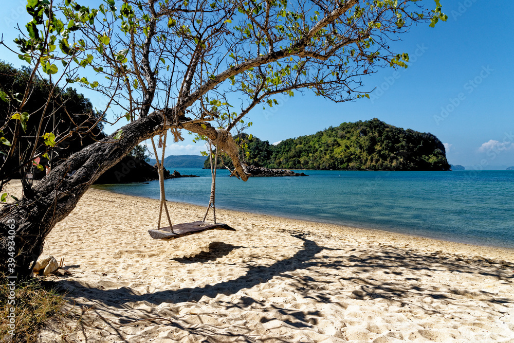 Wooden swing hang under tree at the beach