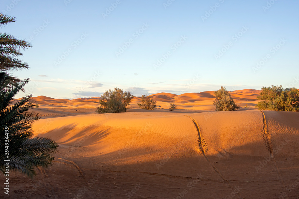 Afternoon light on Erg Chebbi, Merzouga, Morocco