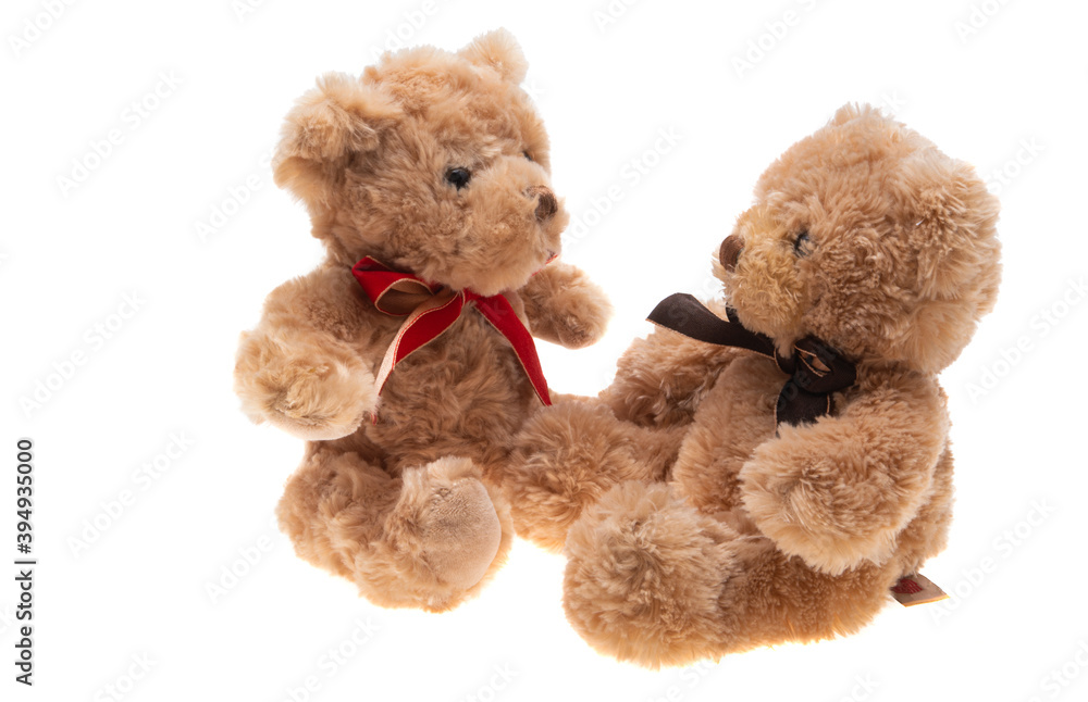 soft toy bear isolated soft toy bear isolated