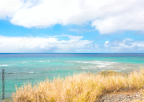 View of tropical ocean from above dried grassy cliff