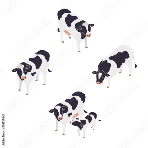 牛のイラスト
