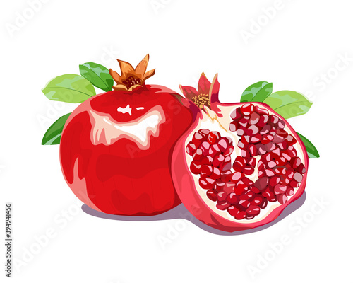 Realistic vector, set of isolat Pomegramate whole fruit and cutting part with leaves on white background, hand drawing vector illustration