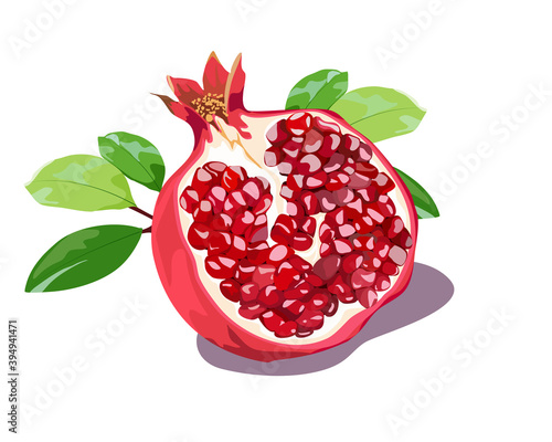 Realistic vector,Pomegramate fruit isolate cutting part with leaves on white background, hand drawing vector illustration