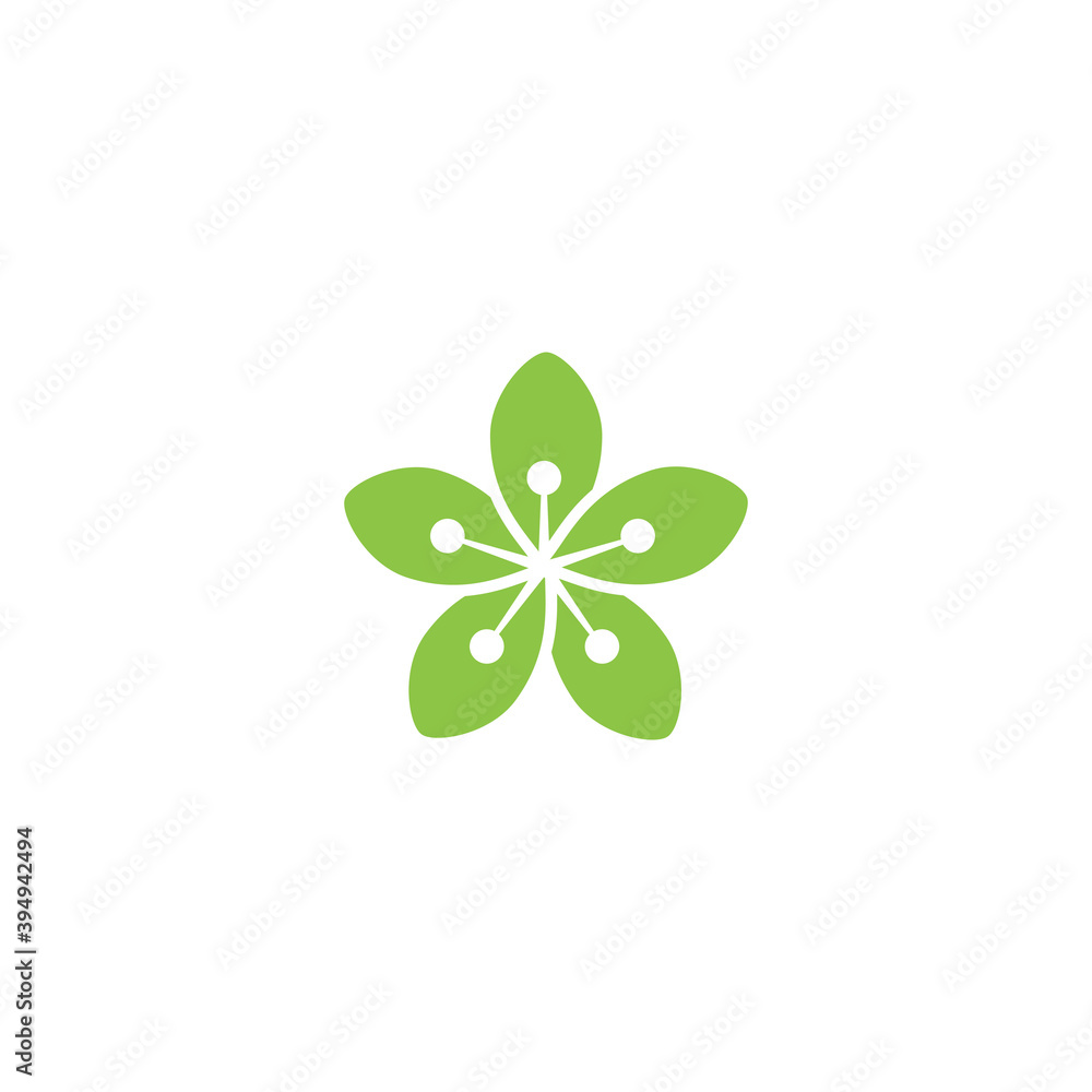 Beauty plumeria icon flowers design illustration Template