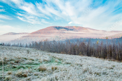 grass covered with frost background of trees and mountains in the fog. Winter season.
