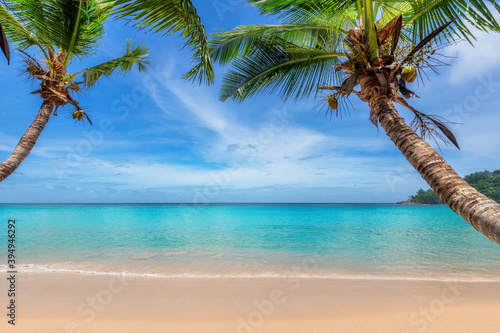 Tropical sunny white sand beach with coco palms and the turquoise sea on Caribbean island. 