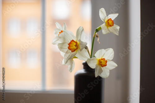 Vase with flowers Narcissus