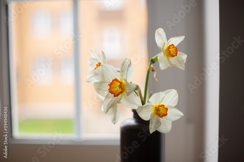 Vase with flowers Narcissus