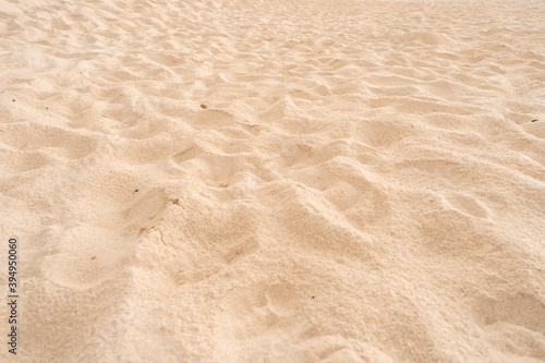 Sand background at the beach.