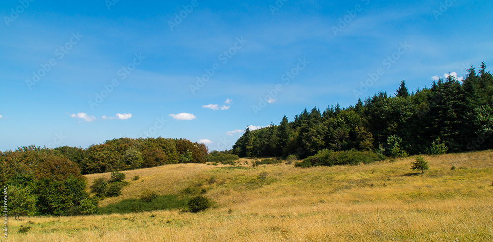 Vista lungo il sentiero 109AG da Poggio San Romualdo a Castelletta nelle Marche