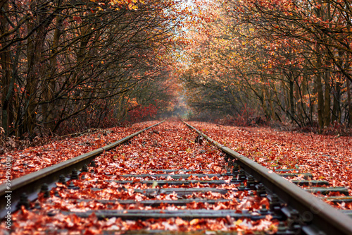 Train tracks in the autumn photo