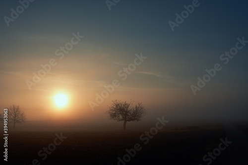 Sonnenaufgang auf den Feldern mit einem Baum