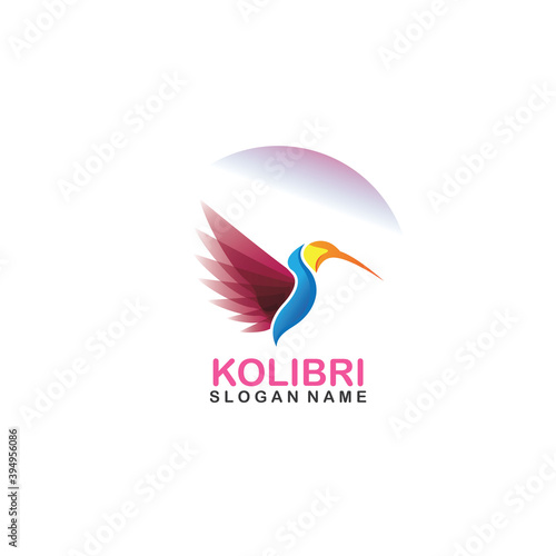 Abstract colorful colibri bird logo line outline creative vector icon illustration template