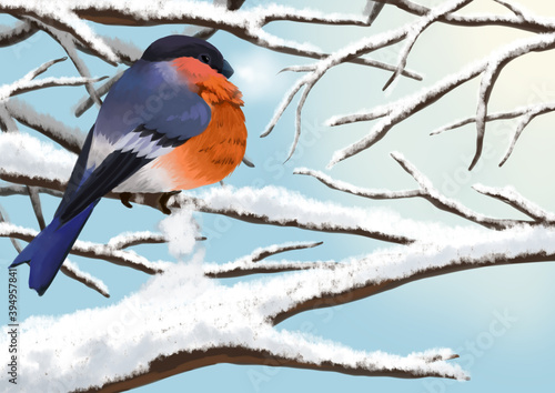 Bullfinch sit on a snowy branch. Winter concept for postcard. Digital drawing
