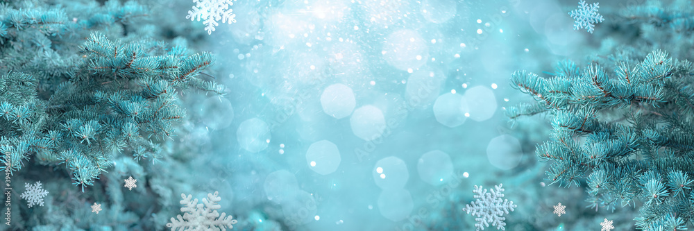 New year background, fir branches in the snow, winter landscape banner, Christmas card, mock up for design, place for text New year background, fir branches in the snow, winter landscape banner, Christmas card, mock up for design, place for text