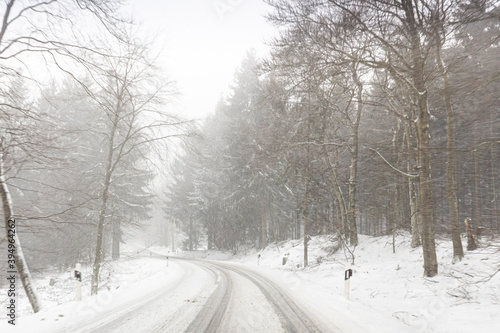 winter road in the forest © Anselm