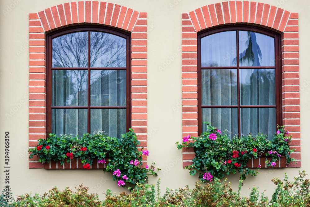 two Windows, with potted flowers on the sill.