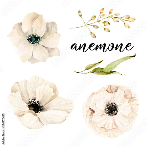 Fototapeta Naklejka Na Ścianę i Meble -  Watercolor floral set with white flowers and green leaves. Hand painted wildflower of white anemone and leaf isolated on white background. Botanical illustration for wedding card, design