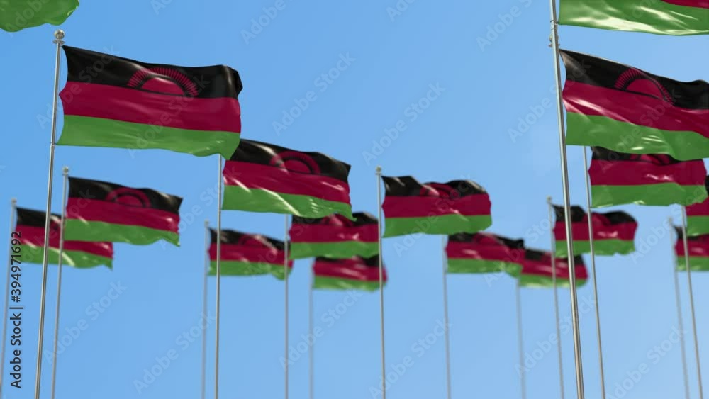 Malawi Row Of National flags Walk Throw Animation Malawi Row Of National flags Walk Throw Animation
