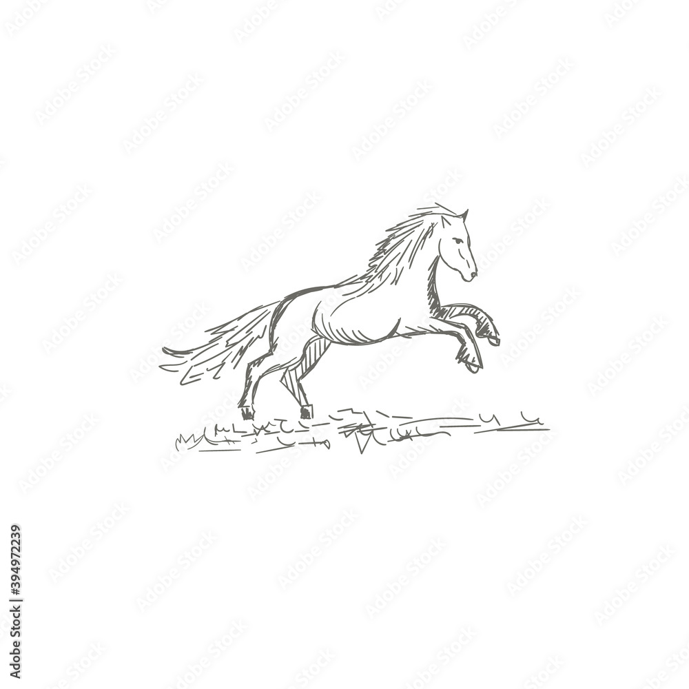 Set of hand drawn horses, vector illustration, sketch Stock Vector ...