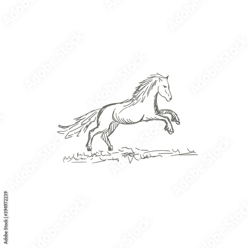 Set of hand drawn horses, vector illustration, sketch
