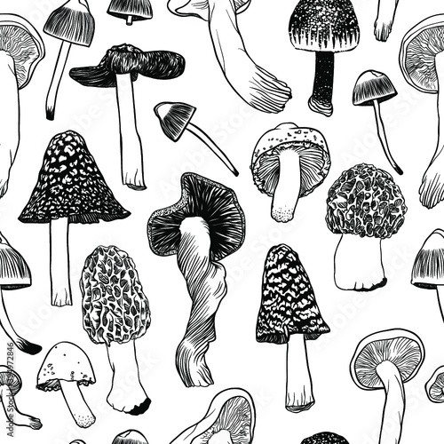 Hand drawn vector pattern. Seamless pattern with mystical mushrooms. Creative black contour art work. Hand drawn illustration magic mushrooms. Witchcraft seamless pattern.