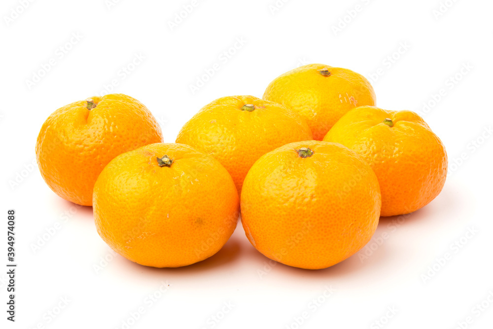 Mandarin-Honey Murcott oranges on white background, Golden orange to celebrate the Chinese festival. Mandarin-Honey Murcott oranges on white background, Golden orange to celebrate the Chinese festival.