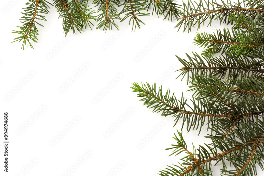 Pine branches isolated on white background, seamless pattern. Christmas and New Year background.