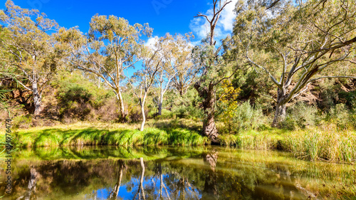 Onkaparinga River National Park walking trail on a bright day