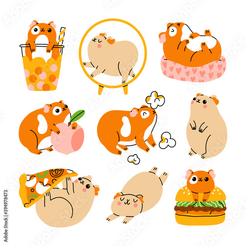 Cute guinea pigs characters, vector illustration set