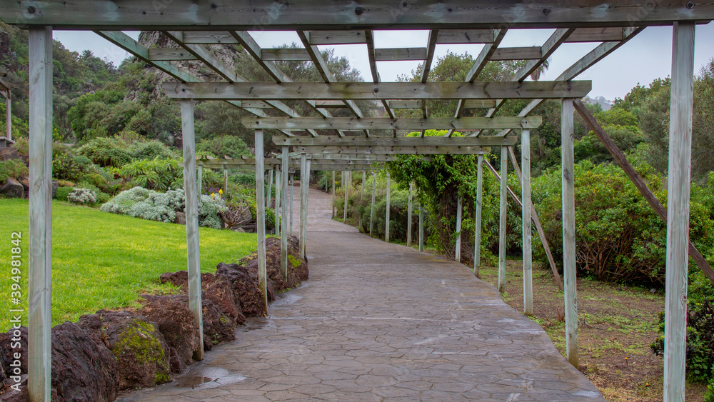 Doramas Park in Las Palmas of gran canaria Doramas Park in Las Palmas of gran canaria