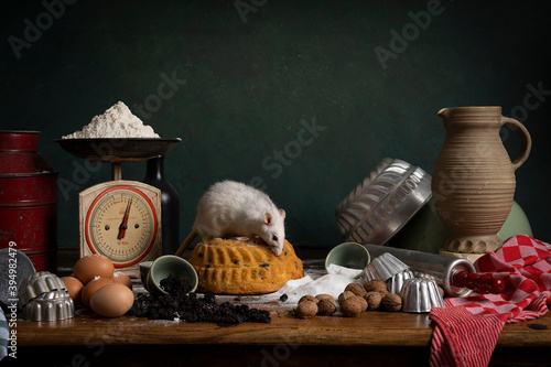 Cute white and brown rat sitting in a stil life scene themed baking cake green background