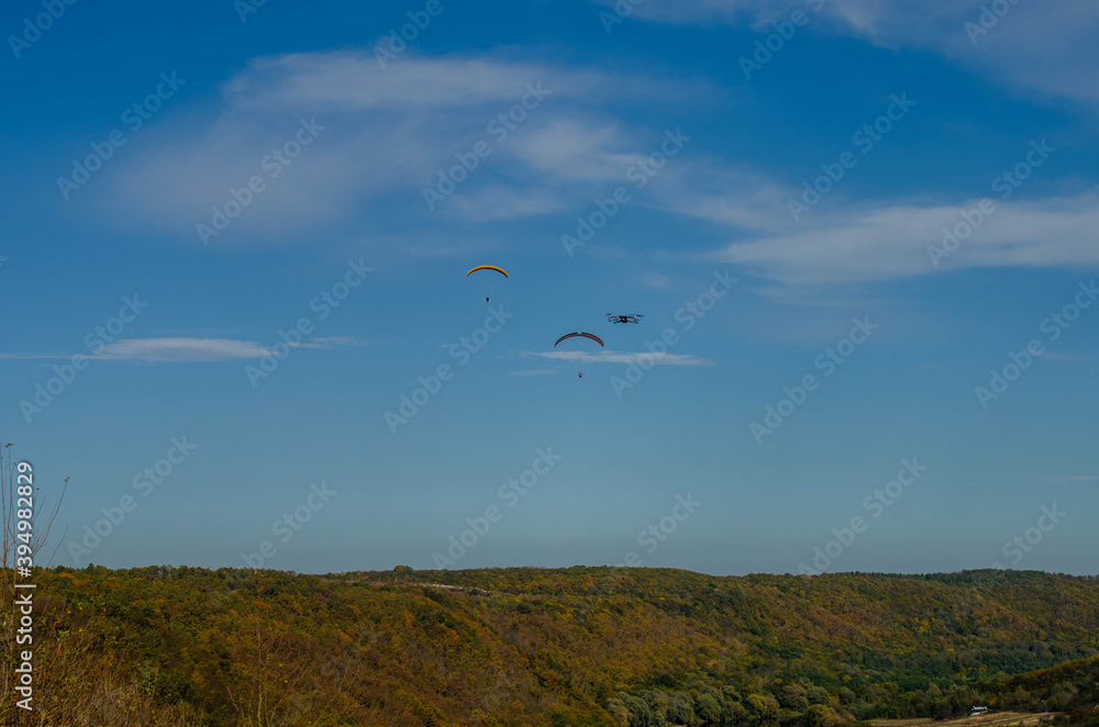 birds in the sky birds in the sky