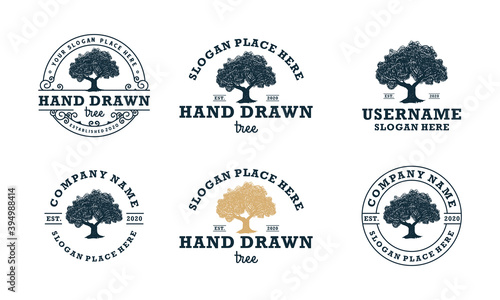 hand drawn shady tree abstract sign, symbol or logo design template