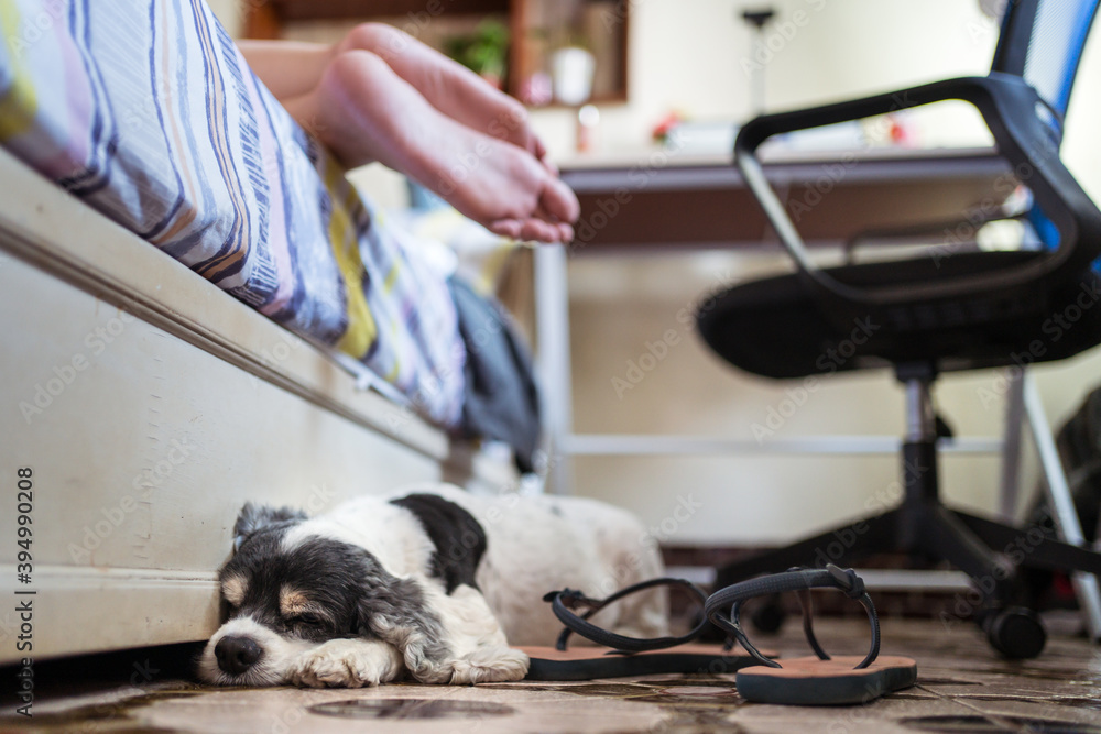 Unrecognizable woman feet resting on bed with Cocker Spaniel dog sleeping
