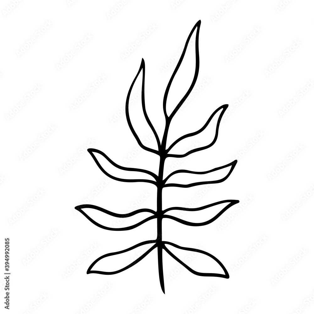 palm leaf stylized vector illustration. palm leaf stylized vector illustration.