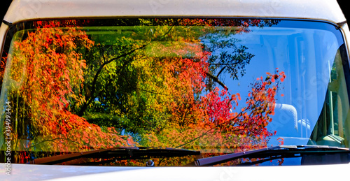 【紅葉イメージ】車のガラスに映った紅葉 photo