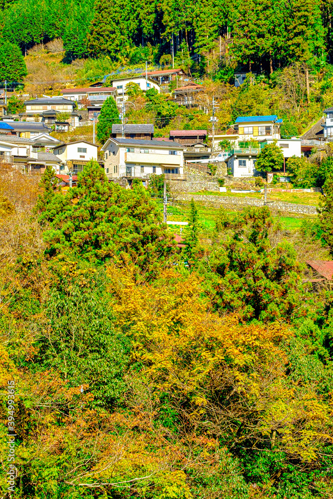 【東京都 奥多摩】紅葉と斜面に建つ家屋群