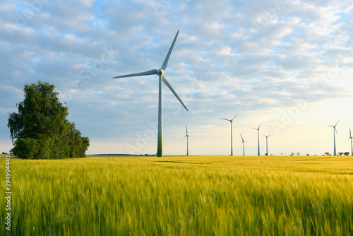 renewable energies - power generation with wind turbines in a wind farm