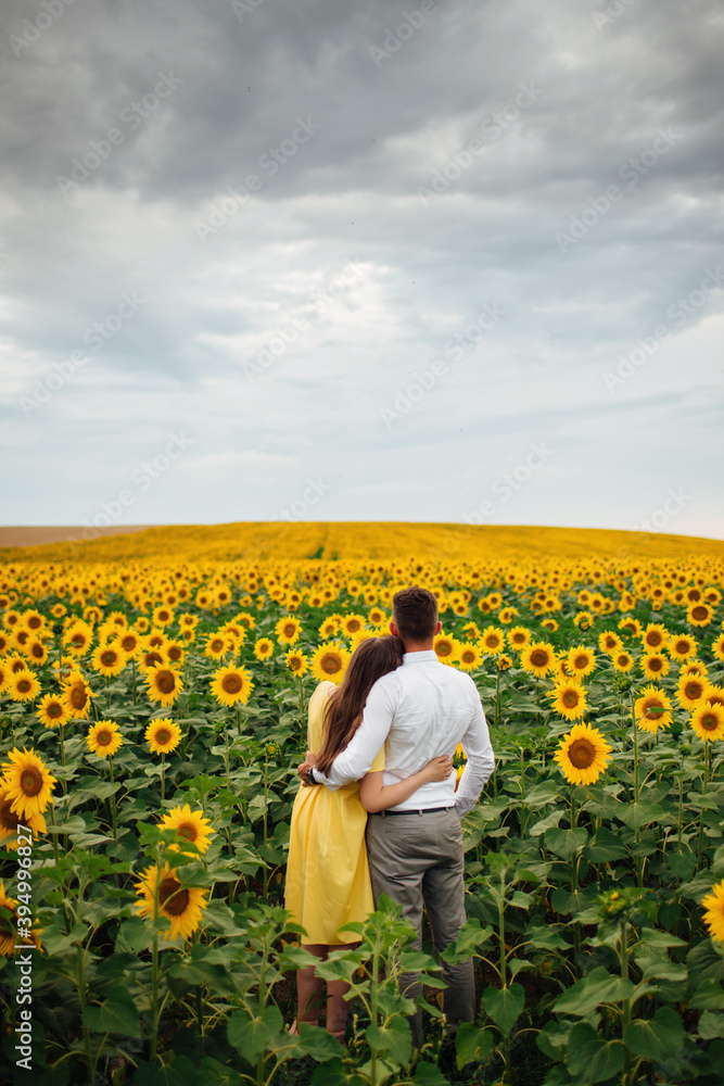 Beautiful couple having fun in sunflowers field. A man and a woman in love walk in a field with sunflowers, a man hugs a woman. selective focus