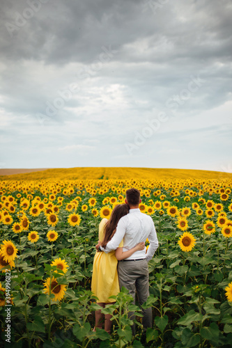 Beautiful couple having fun in sunflowers field. A man and a woman in love walk in a field with sunflowers  a man hugs a woman. selective focus