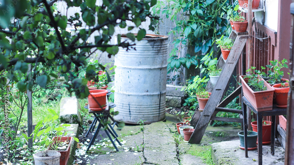 Obraz premium water barrel in the garden