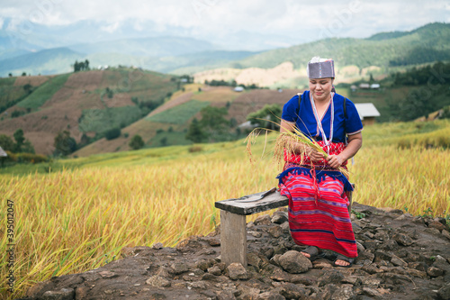 space woman farmer with paddy rice on rice terrace 