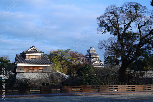 熊本地震で被災し、復興中の熊本城の雄姿
