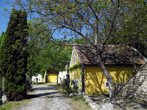 Austria, Wine Cellar photo