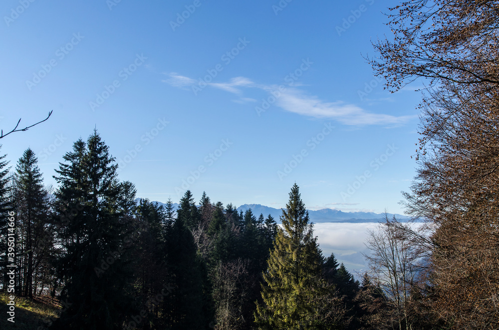 Pieniny panoram - mgła