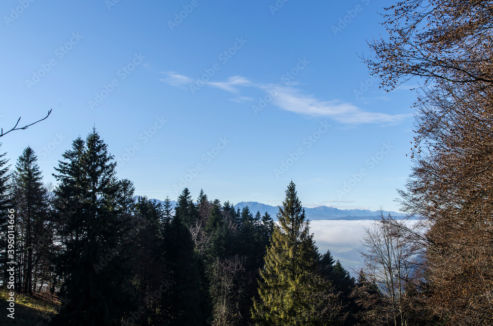 Pieniny panoram - mgła Pieniny panoram - mgła