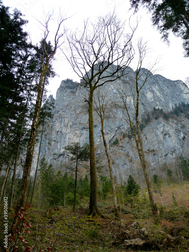 Drachenwand via ferrata, Salzburg, Austria photo